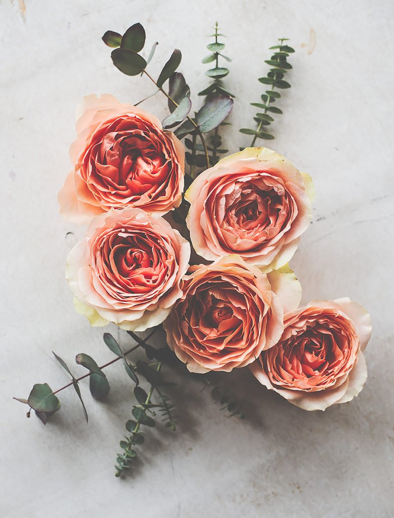 Beautiful beige and orange roses and decorative branches on white textured background, floristic arrangement, vintage filtered