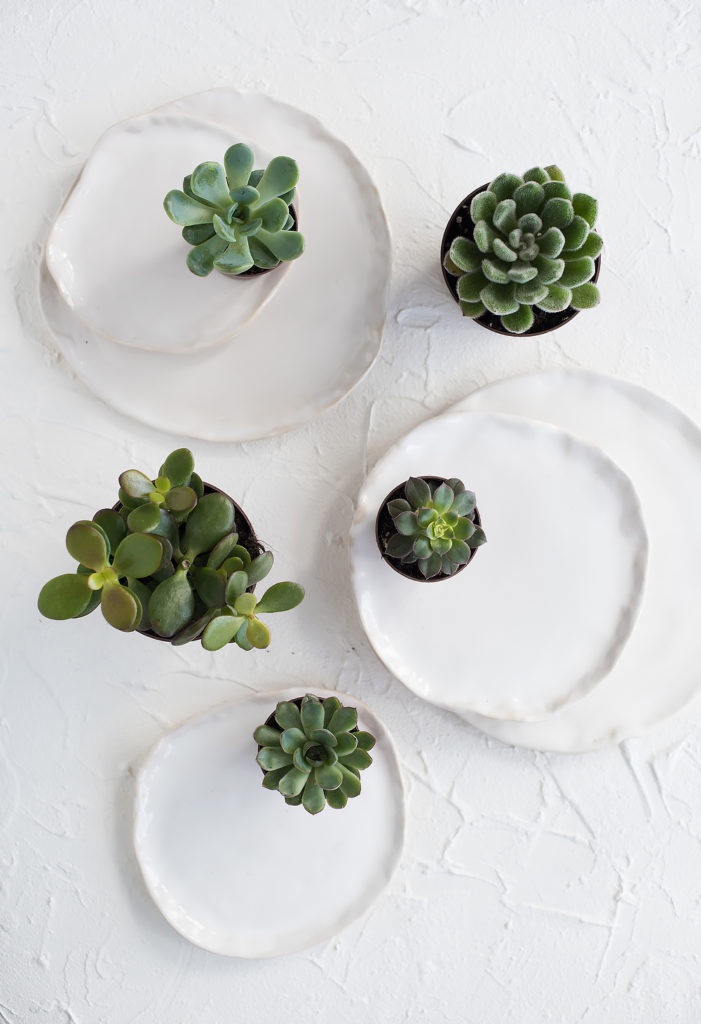 Minimalistic still life with ceramic plates and green succulents on white textured background, stylish home decor